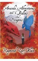 Amanda's Adventures With Bullies & Dragons