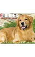 Just Goldens 2019 Box Calendar (Dog Breed Calendar)