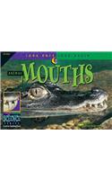 Animal Mouths
