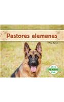 Pastores Alemanes (German Shepherds)