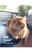 2020 Planner Notebook: Cute Orange Tabby Cat Planner Book With Monthly and Weekly Calendars, Monthly Habit Tracker, Vision Board and Brain Dump Sheets