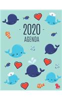 Baleine Agenda 2020
