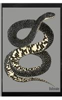 Snake: Bullsnake Watercolor: 6x9 College Ruled Notebook