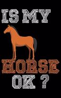 Is My Horse Ok?: Horse Journal and Notebook for Girls and Women - Gifts for Horse Lovers - Horse Lover Gifts for Women Journals - Funny Horses Diary