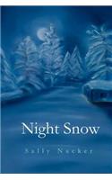 Night Snow