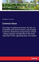 Common Sense: First steps in political economy, for the use of families and normal classes, and of pupils in district, elementary and grammar schools - being a po