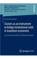 Clusters as an instrument to bridge institutional voids in transition economies: Lessons learned from Southeast Europe(Markt- und Unternehmensentwicklung Markets and Organisations)