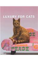 Luxury for Cats