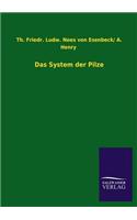 System der Pilze