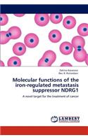 Molecular functions of the iron-regulated metastasis suppressor NDRG1