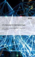 IT-Projektcontrolling. Was ist bei der Umsetzung von IT-Projekten zu beachten?