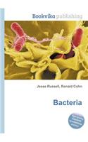 Bacteria