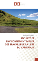 Securité Et Environnement Minier Des Travailleurs À l'Est Du Cameroun