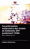 Caractérisation moléculaire des isolats de Klebsiella SPP produisant l'ESBL