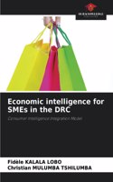 Economic intelligence for SMEs in the DRC