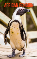 African Penguin: Learn About African Penguin and Enjoy Colorful Pictures