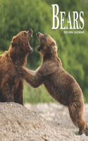 Bears