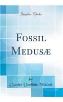 Fossil MedusÃ¦ (Classic Reprint)