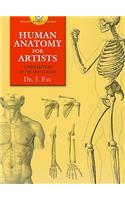 Human Anatomy for Artists