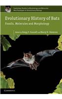 Evolutionary History of Bats