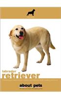 Labrador Retriever (About Pets)