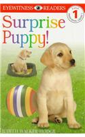 DK Readers L1: Surprise Puppy