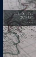 Le Brésil Tel Qu'il Est