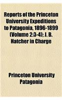 Reports of the Princeton University Expeditions to Patagonia, 1896-1899 (Volume 2