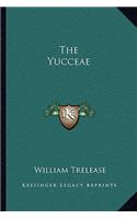 The Yucceae