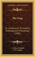The Frog