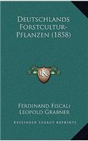 Deutschlands Forstcultur-Pflanzen (1858)