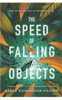 Speed of Falling Objects