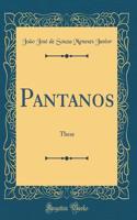 Pantanos