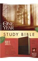 One Year Study Bible-NLT