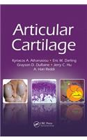 Articular Cartilage
