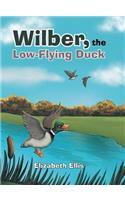 Wilber, the Low-Flying Duck