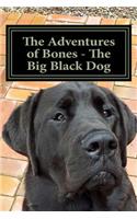 Adventures of Bones - The Big Black Dog