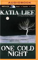 One Cold Night