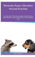 Slovensky Kopov (Slovakian Hound) Activities Slovensky Kopov Tricks, Games & Agility. Includes