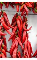 Red Chile Peppers Journal