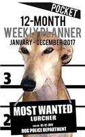 2017 Pocket Weekly Planner - Most Wanted Lurcher: Daily Diary Monthly Yearly Calendar
