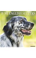 Just English Setters 2020 Wall Calendar (Dog Breed Calendar)