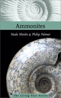 Ammonites