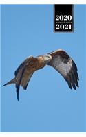 Falcon Hawk Bird Watching Ornithology Week Planner Weekly Organizer Calendar 2020 / 2021 - Wings Down