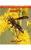 Hornets: Amazing Pictures & Fun Facts for Kids