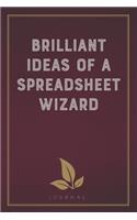 Brilliant Ideas of a Spreadsheet Wizard