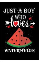 Just a Boy Who Loves Watermelon