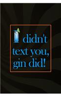 I Didn't Text You, Gin Did!