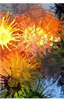 Diabetic Log Book: Portable Blood Glucose Chart, Daily Diary - Small Notebook - Fireworks Splatter