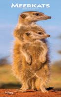 Meerkats 2020 Slim Calendar
